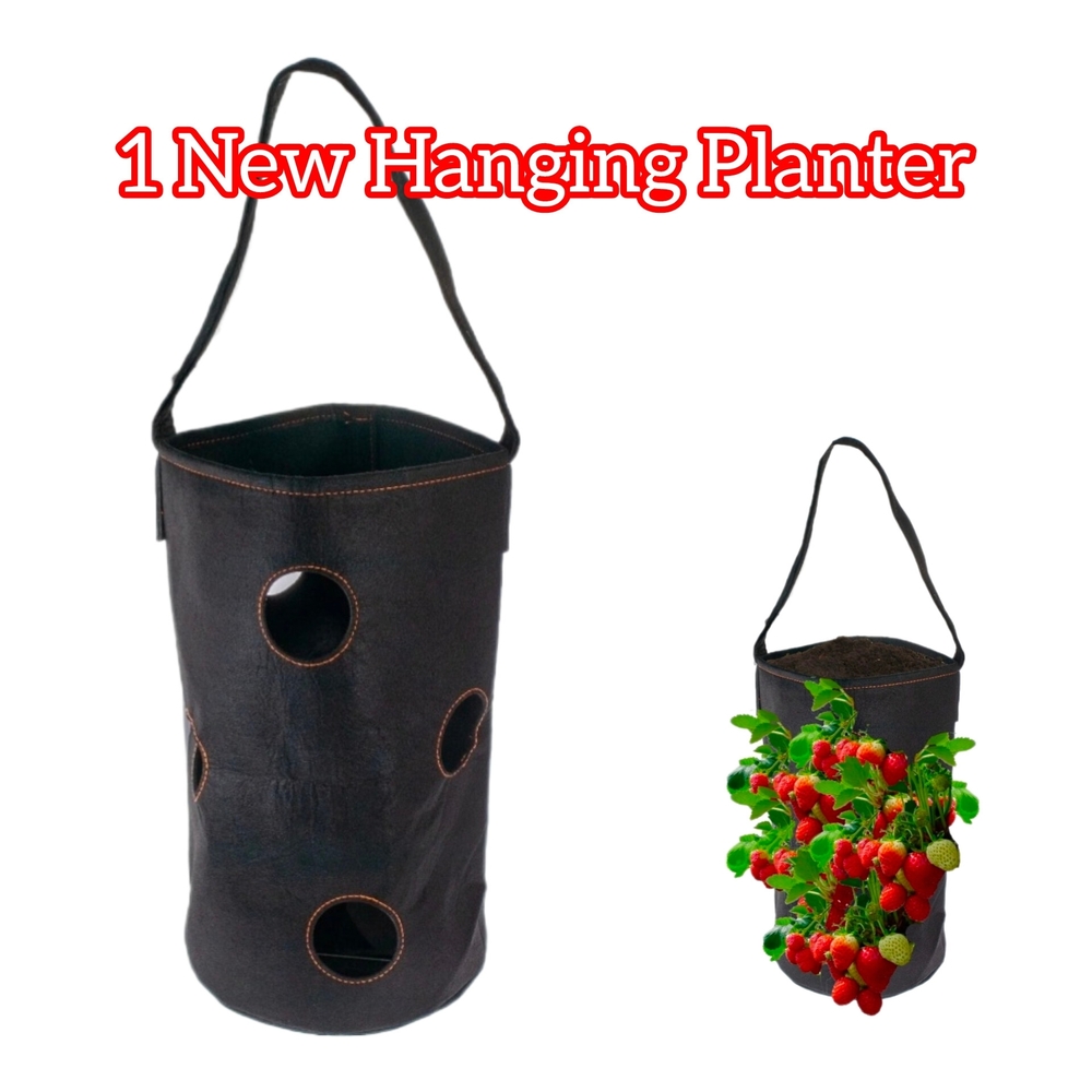 Black Hanging Planter